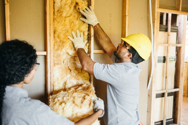 Best Affordable Insulation Services  in Cokato, MN