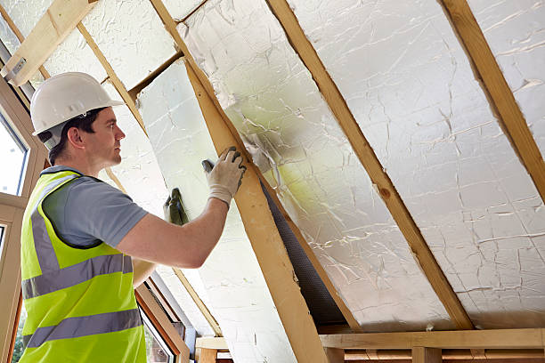 Best Local Insulation Services  in Cokato, MN